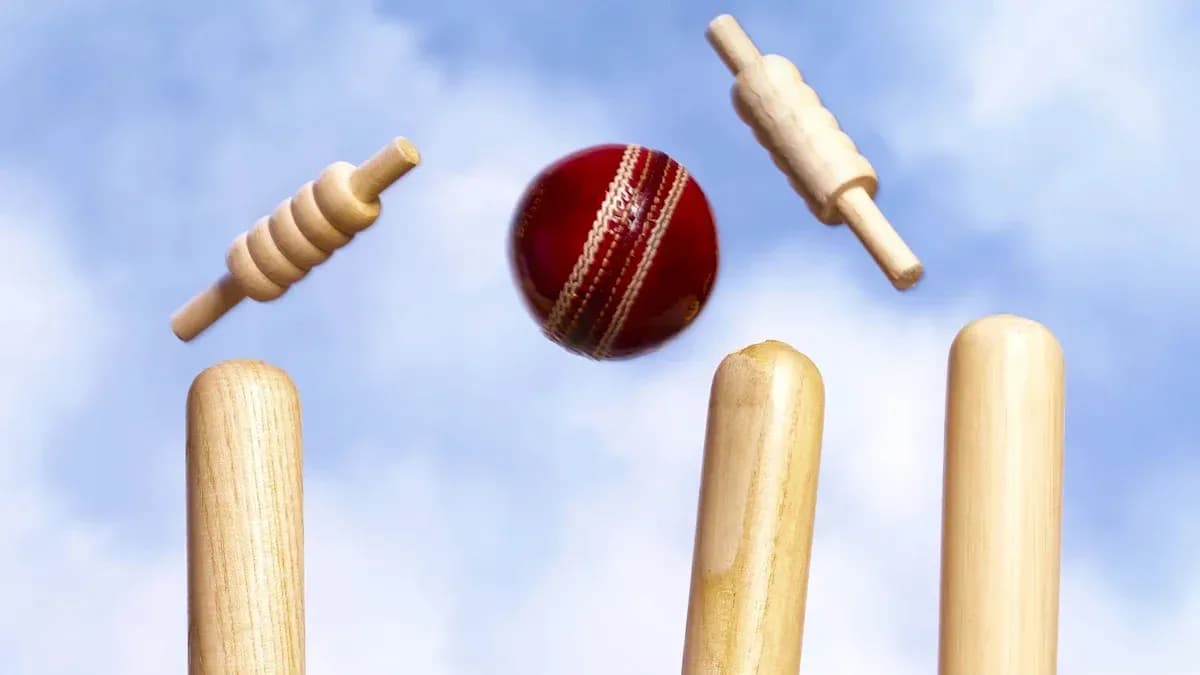 Pelota de cricket volando hacia los wickets