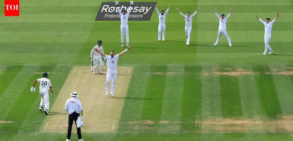 Jugadores celebrando un wicket en un partido de cricket