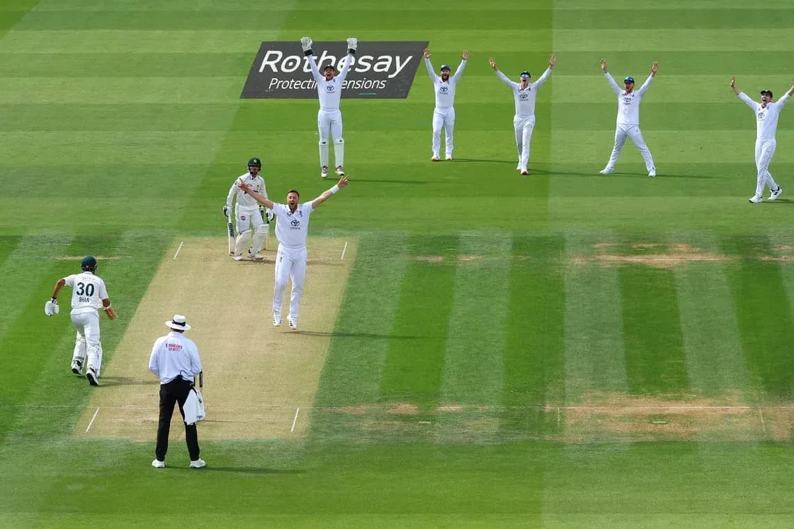 Jugadores celebrando un wicket en partido de cricket Jugadores celebrando un wicket en partido de cricket