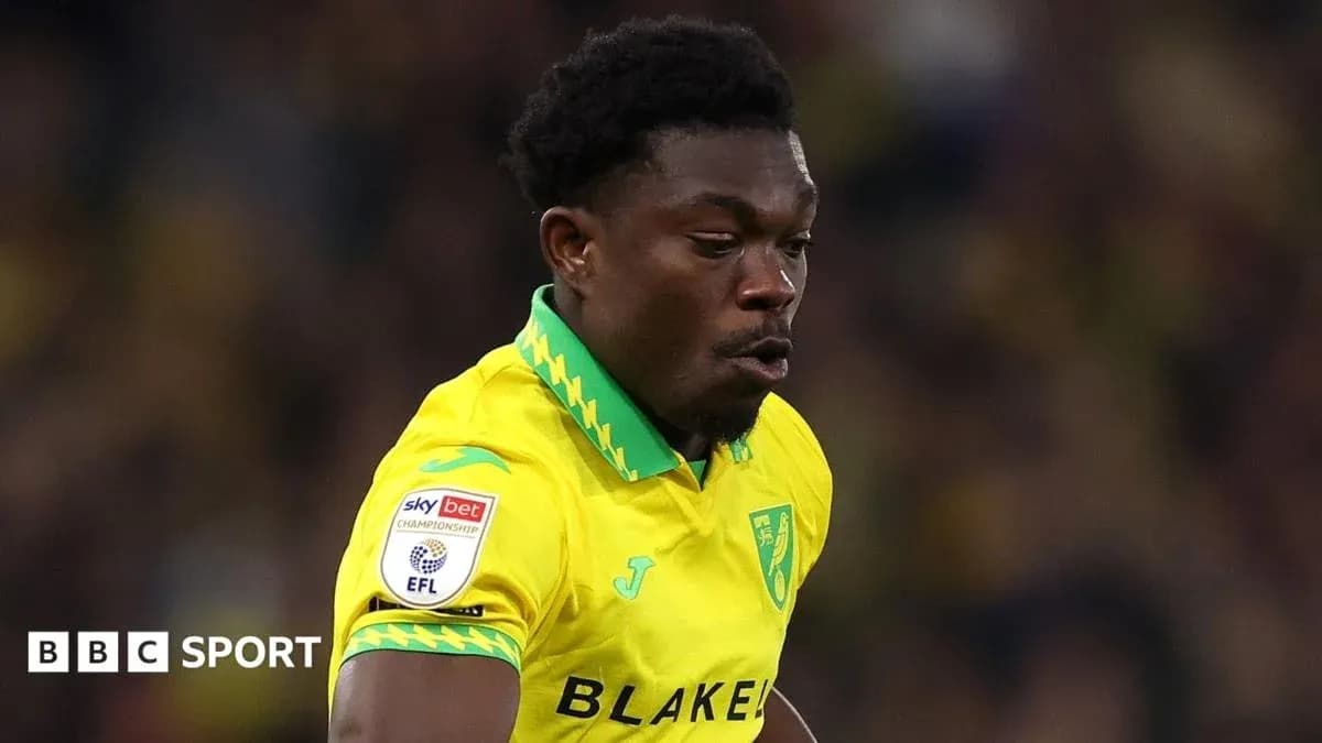 Jugador de Norwich City corriendo durante un partido Jugador de Norwich City corriendo durante un partido