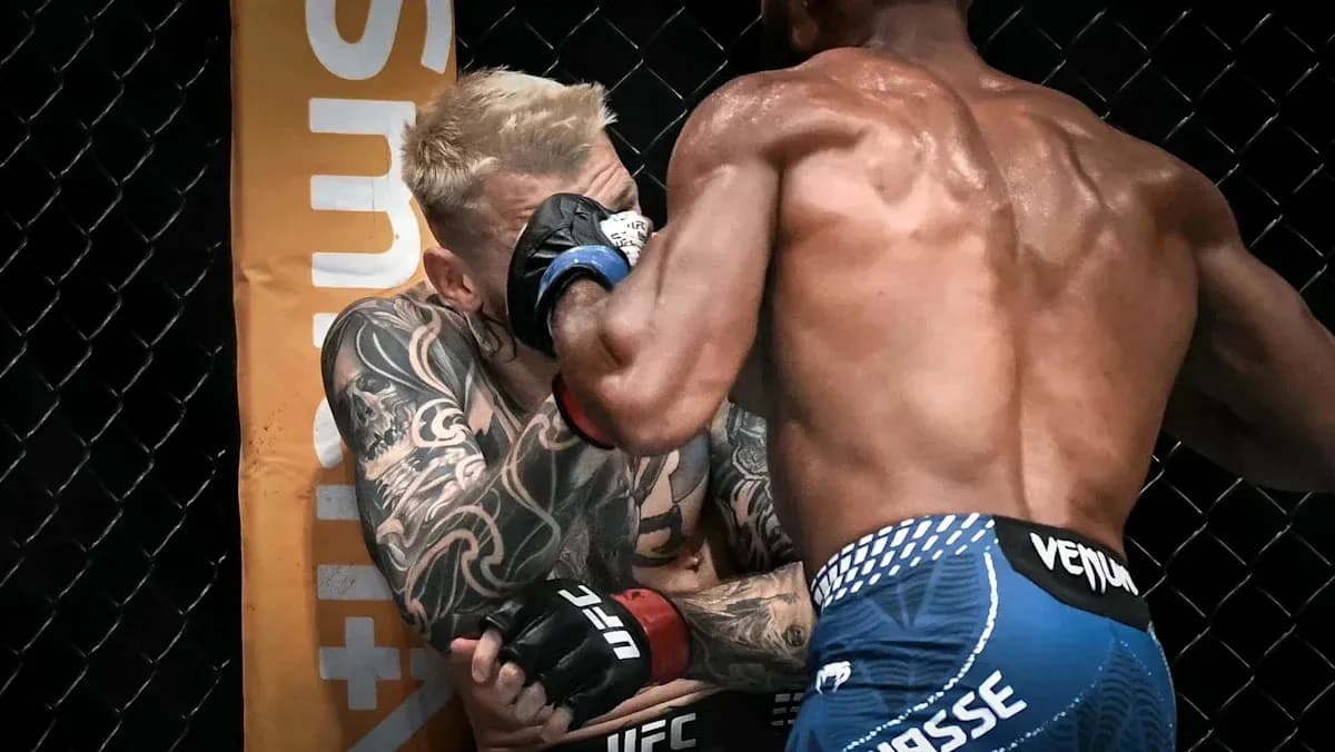 Luchador en combate dentro del octágono de UFC Luchador en combate dentro del octágono de UFC
